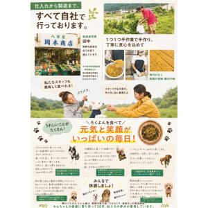 お試し価格送料無料!あすつく犬猫用手作りごはん...の詳細画像5