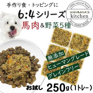 犬用厳選！包丁いらず 簡単レンチンok ろくよん馬肉6:野菜5種4の黄金比250g(42g ×6個)国産無添加 毎日続けれる価格 トッピングにも 命と向き合う19年間｜wanbana