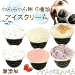 犬用のアイスクリーム 6種類 セット 熱中症 夏バテ