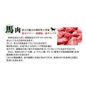 犬用カップごはん 人気ナンバーワン!馬肉団子 ...の詳細画像2