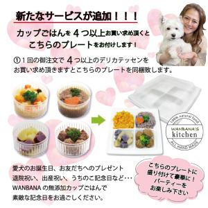 犬用カップごはん 人気ナンバーワン!馬肉団子 ...の詳細画像5