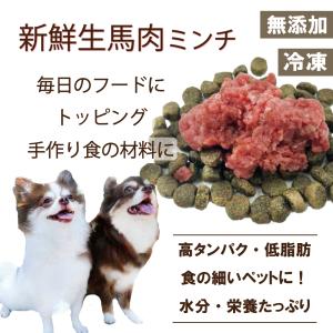 犬猫用の生馬肉ミンチ1kg パキッと折れる小分けトレー