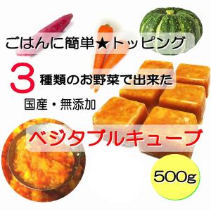 ３種の野菜 でできた 国産 ベジタブル キューブ 500ｇ 小分けトレー 入り 手作り食 材料 簡単 トッピング 無添加 酵素 帝塚山 WANBANA 5000円以上 送料無料｜wanbana