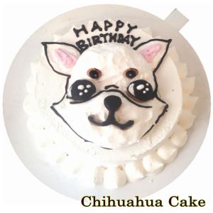 犬用のお誕生日ミニチワワ馬肉生地3号10cmサイズ イベントや小さなバースデーでSNS映え
