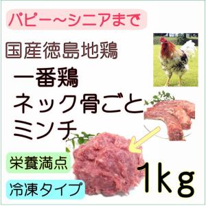 犬 生肉　帝塚山ハウンドカム　手作り ドッグ フード 材料 国産 一番鶏のネック骨ごとミンチ１ｋｇ 小分けトレー入りタイプ  トッピング ごはん｜wanbana