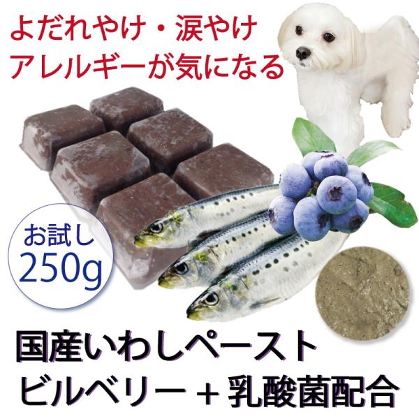 犬用厳選！包丁いらず調理済 いわしペースト&amp;ビルベリー乳酸菌250g小分けトレー トッピングや手作り...