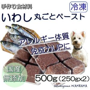 犬用厳選！包丁いらず調理済いわしペースト500gお試し用 アレルギーや痒みに 健康に長生き 毎日続けてもらえる価格設定 トッピング手作り食 レンチンOK ワンバナ｜wanbana