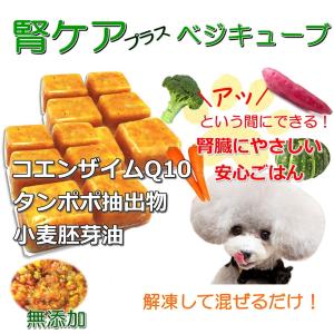 【ピン子】動物用テロメア 寿命のび〜る旧パッケージ合わせて30個 Amazon | ペッタム寿命のびーる | ペッタム | ヘルスケア 通販