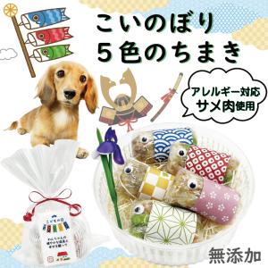 犬用のこどもの日 端午の節句 こいのぼり5色のちまき 名前旗シール付き 可愛いひとくちサイズ サメ肉使用 食いつき抜群  無添加 おやつ ワンバナ｜wanbana