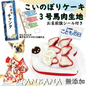 まだ間に合う！犬用のこどもの日 端午の節句 こいのぼりケーキ 3号サイズ 馬肉生地 名前旗シール付き ギフトやお祝いに 国産無添加おやつ ワンバナ｜wanbana