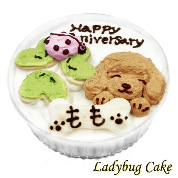 犬用 LadyBugケーキ てんとう虫とトイプードル 可愛いケーキ お誕生日はもちろんうちの子記念日...
