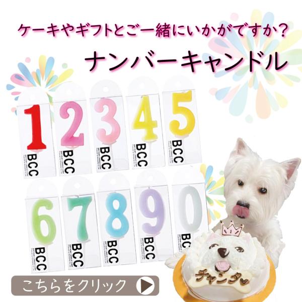 ナンバーキャンドル お誕生日ケーキと一緒に合わせて数字ロウソクでお祝いを・・・・無添加のペット用品で...