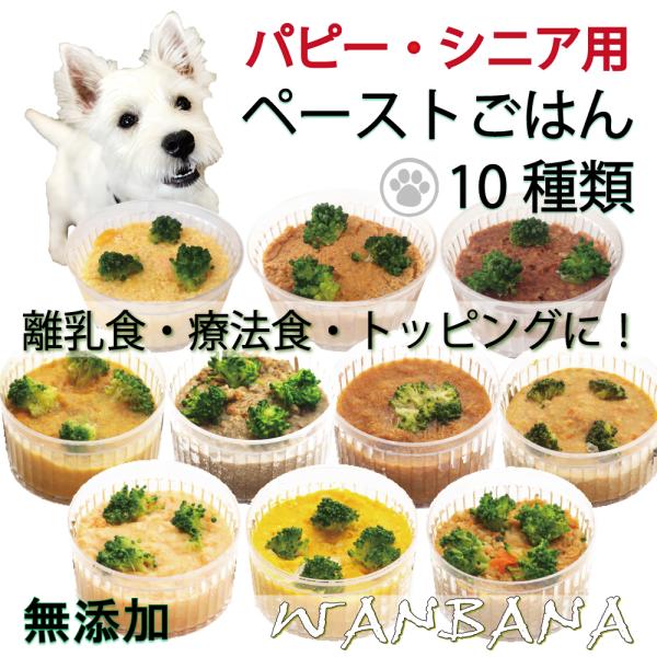 犬用のごはん ドッグフード 離乳食 介護食 ペースト 状デリカテッセン10種類セット 手作り シニア...