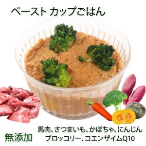 犬用の離乳食 介護食 療養食 手作りごはん ダイエット ペースト状 馬肉のポトフ 〜コエンザイムQ10入り 柔らかい 食べやすい シニア期 ペット用品で健康な食事を｜wanbana