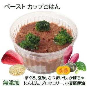 手作りごはん ドッグフード 犬用の離乳食 介護食 療養食 ダイエット 低カロリー お惣菜 ごちそう ペースト状 まぐろリゾット~小麦胚芽油入り シニア期に｜wanbana