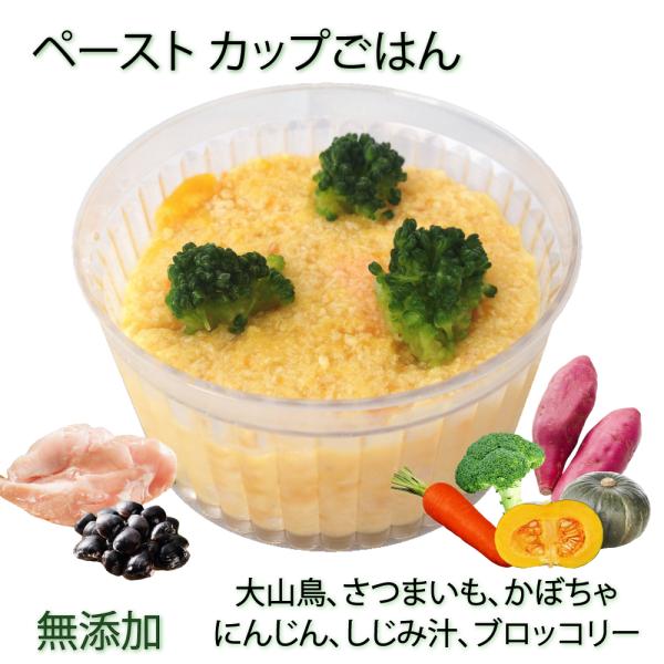 犬用の離乳食 介護食 療養食 ペースト状 大山鳥むね肉のポトフ~しじみ汁煮込み トッピング 手作りご...