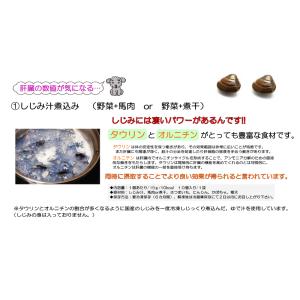 犬用これぞ!お助けマン国産しじみスープキューブ...の詳細画像3