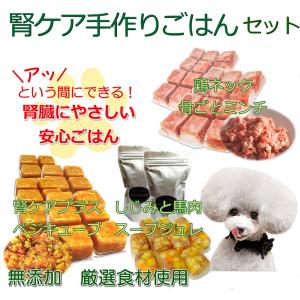 犬 ウェットフード 手作りごはん 国産無添加 腎臓ケア