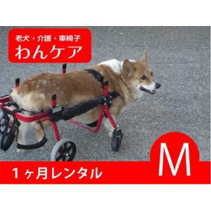 【1ヶ月レンタル延長】４輪の犬の車椅子　K9カート犬用車椅子 M（11kg-18kg未満)　犬　車椅子　車イス　コーギー　ミックス　柴犬　中型犬｜wancare