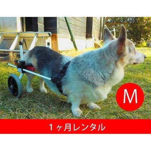【1ヶ月レンタル延長】K9カート犬用車椅子後脚サポート M（11kg-18kg未満)　犬　車椅子　車...