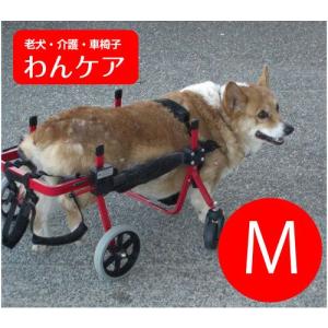 K-9カスタム犬用車椅子 フルサポート(4輪) 体重11.1〜18kg用｜wancare