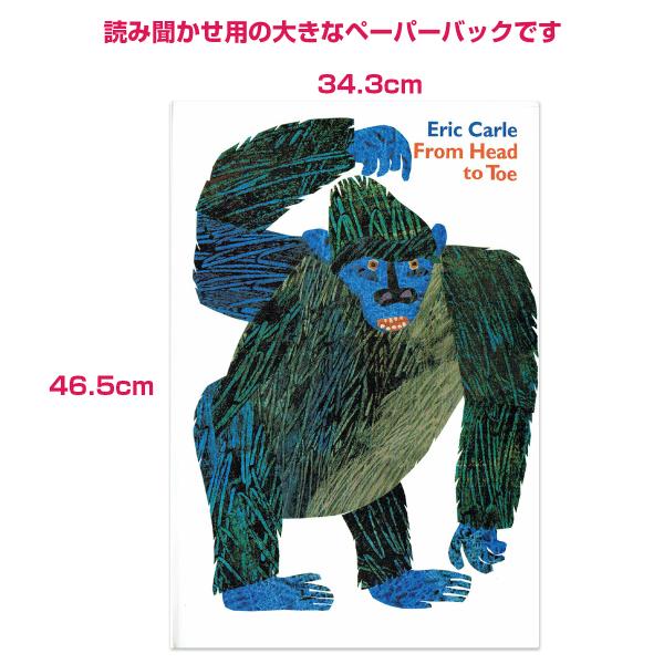 大判 英語 絵本 From head to toe エリックカール 読み聞かせ 0歳 幼児