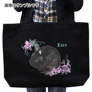 賞味期限：2026/07/27】カナダ産へリニューアル オリジン パピー 6kg