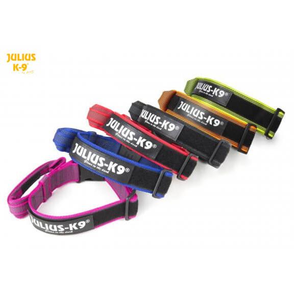 カラー アンド グレイ カラー ハンドル＆ロック付き【ユリウスK9】color&amp;gray colla...