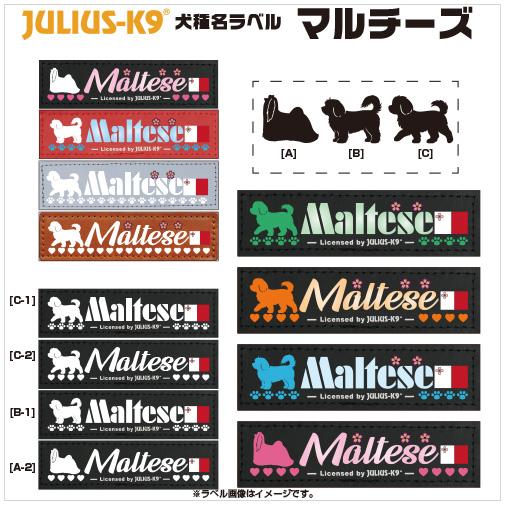マルチーズ Maltese オリジナル ラベル【１枚 Sサイズ】【ユリウスK9】 IDCパワーハーネ...