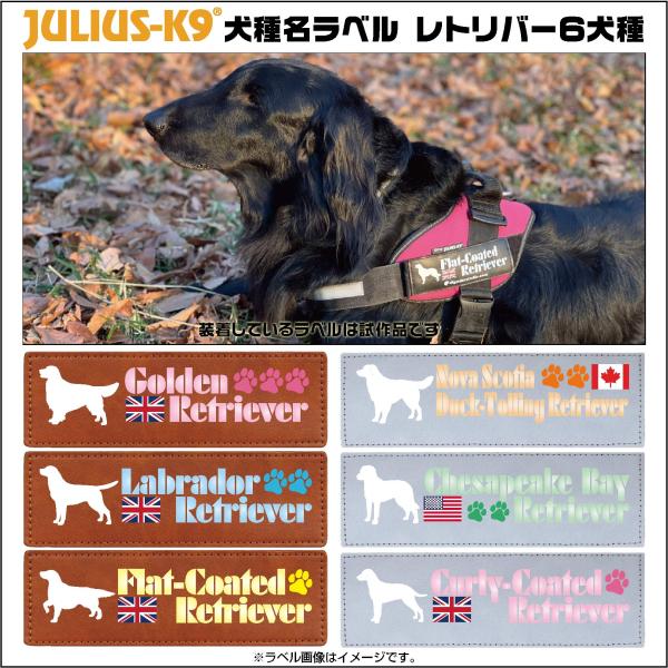 レトリバー オリジナル ラベル【１枚 サイズＭ・S】【ユリウスK9】 IDCパワーハーネス用 ベース...