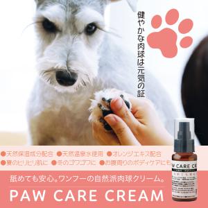 肉球クリーム wanfoo ワンフー PAWCARECREAM  50ml 犬猫用 乾燥対策｜wanfoo-official