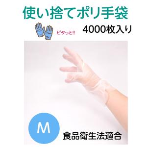 プラスチックグローブ PVCグローブ パウダー無 Lサイズ VGN-L 100枚箱
