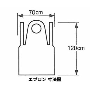 プラスチックエプロン ホワイト 袖無 AAP-...の詳細画像1