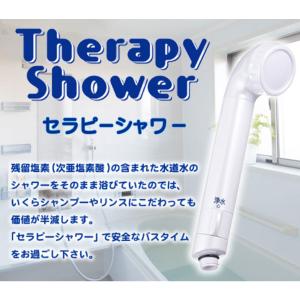 フリーサイエンス　シャワー浄水器カートリッジ2セット フリーサイエンス 正規代理店 ウォーターセラピィー 1台