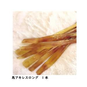 犬 おやつ 無添加 馬肉 自家製 会津産 馬アキレスロング 1本 安心 安全 国産 犬用 メール便可