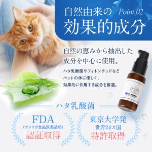 【ドクター裕次郎 公式】 犬 猫 歯科専門の動...の詳細画像5