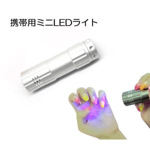 携帯用ミニLEDライト0.9W【定形外ＯＫ】 もれなくプレゼント♪｜wanmake