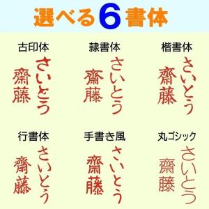 猫のイラストはんこ(肉球)ねこの印鑑 シャチハタ式の詳細画像2