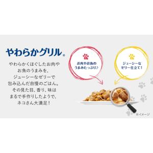 フィリックス やわらかグリル 成猫 ゼリー仕立...の詳細画像2