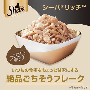 シーバ リッチ お魚にささみ添え 35g×12コの詳細画像1