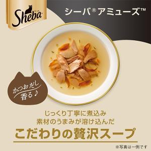 シーバ アミューズ お魚スープ 究極の2択 4...の詳細画像1