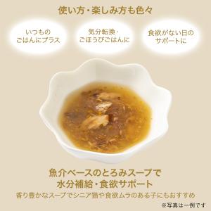 シーバ アミューズ お魚スープ 究極の2択 4...の詳細画像2