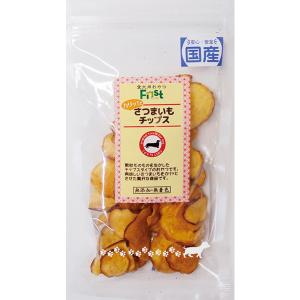 Zero コニファーチップ クラシック 900g : ペットの専門店コジマ