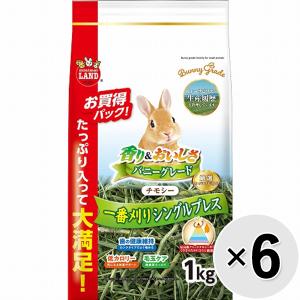 GEX（ジェックス） 毎日食べるおいしいチモシー 650g×12 牧草 お