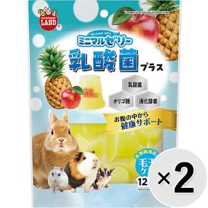 【セット販売】ミニマルゼリー 乳酸菌プラス 12個入り×2コ｜wannyan-ya