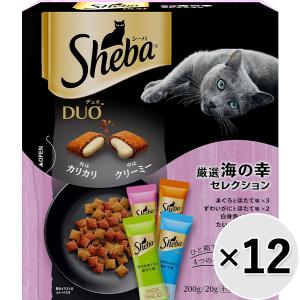 三晃商会 イージーホーム60 ハイメッシュ BK : ペットの専門店コジマ