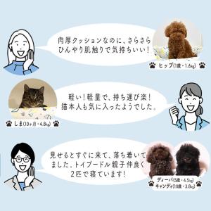 犬 ペットベッド 洗える 夏用 夏 犬 かわい...の詳細画像5