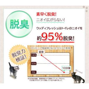 猫砂 鉱物系 ベントナイト 木 飛び散り防止 ...の詳細画像2