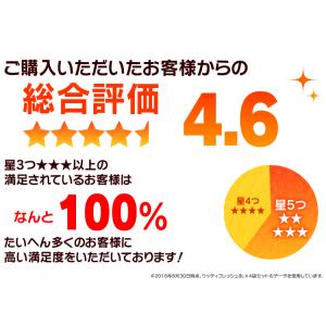 猫砂 木 飛び散り防止 猫 トイレ 燃えるゴミ...の詳細画像3