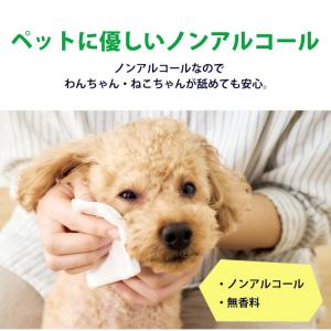 ウェットティッシュ ペット用 ペット (80枚...の詳細画像2